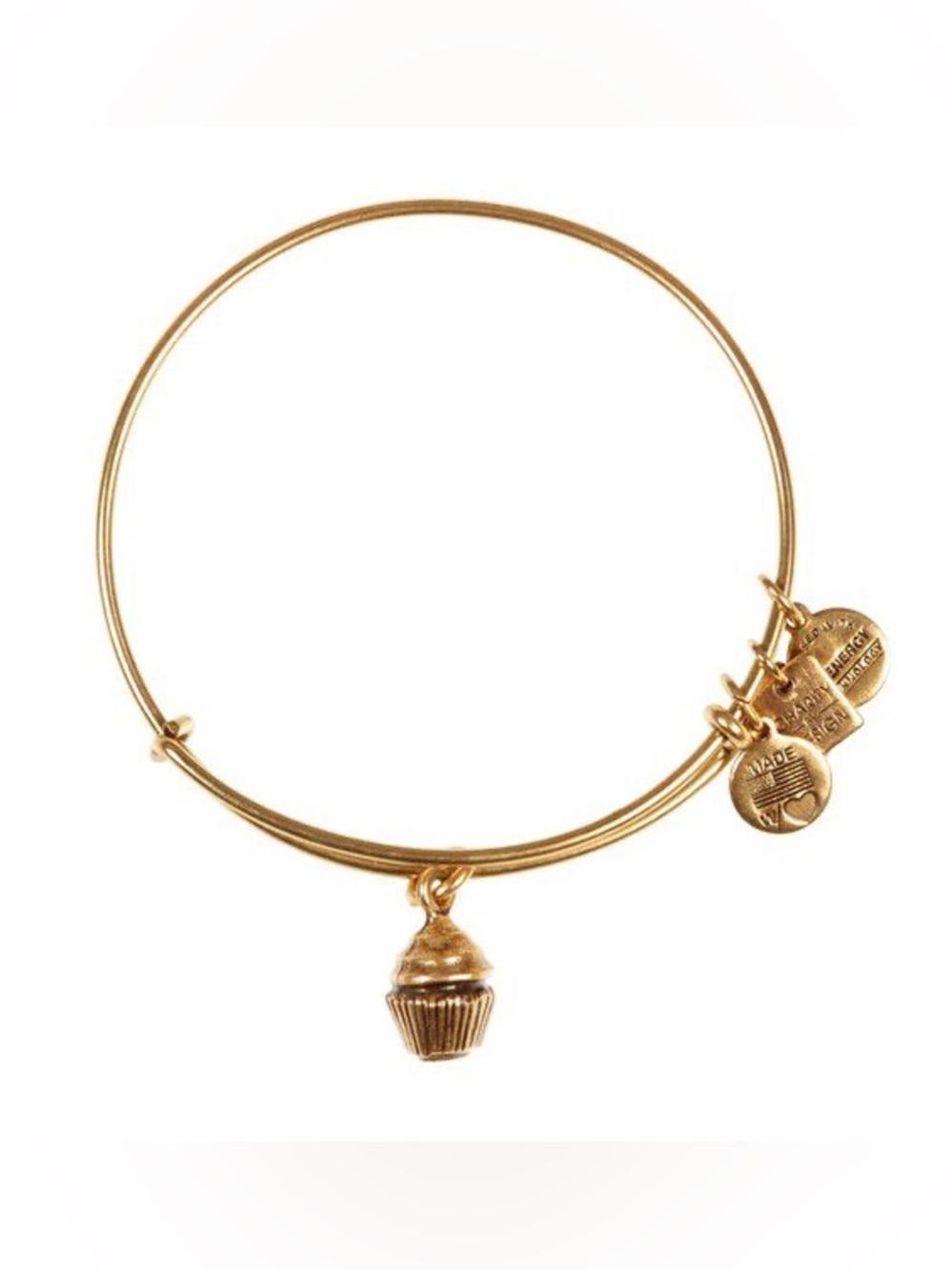 Alex and Ani Charity by Design
Cupcake Charm Bangle
